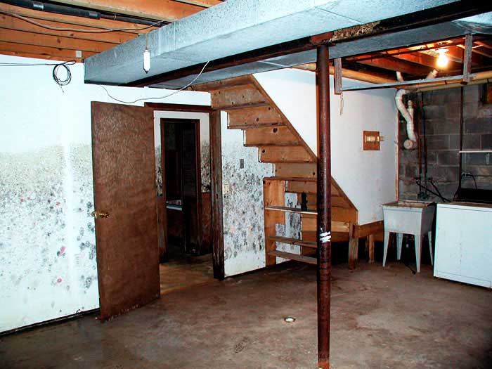 moldy-basement-lg.jpg